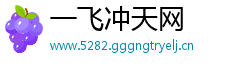 一飞冲天网